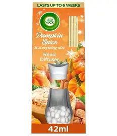 Airwick Pumpkin And Winter Spice Reed Diffuser 42ml